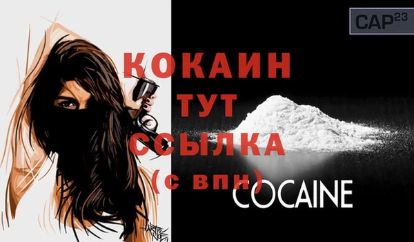 стаф Дмитров