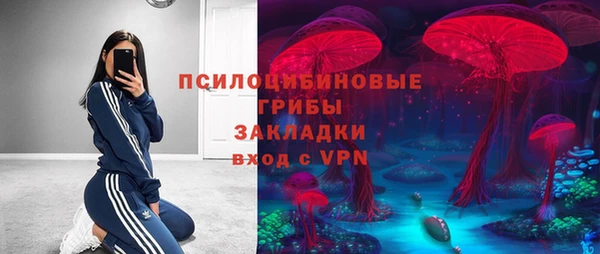 сатива Михайлов