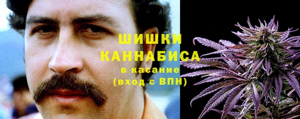сатива Михайлов
