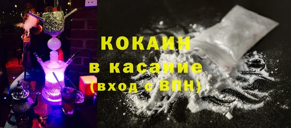 сатива Михайлов