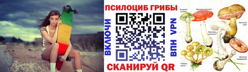 как найти   Бугуруслан  Псилоцибиновые грибы Psilocybine cubensis 