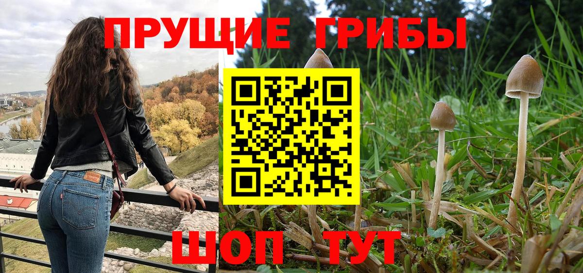 Псилоцибиновые грибы ЛСД Бугуруслан